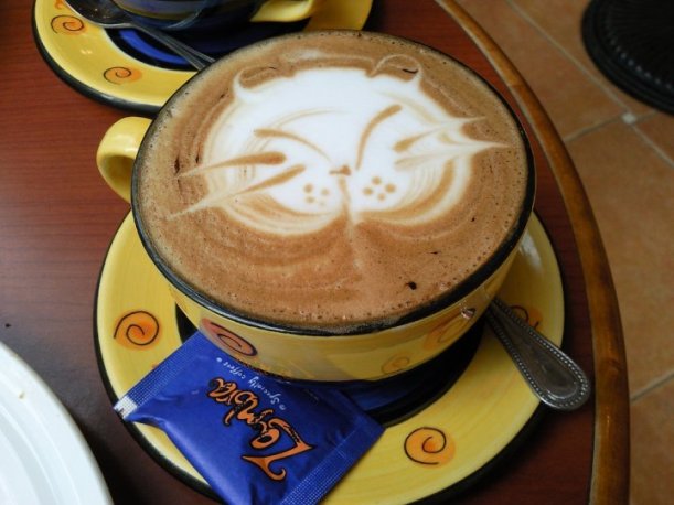 Latte Art Cat
