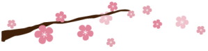 Divider - Cherry Blossom